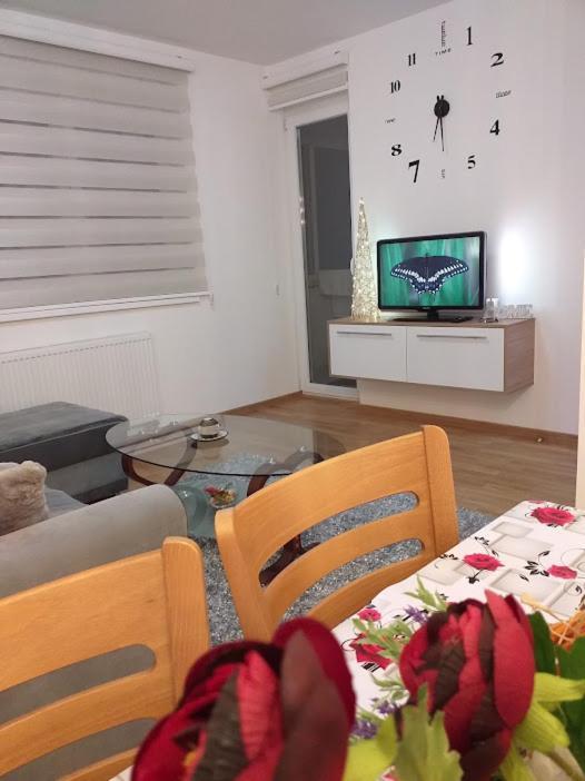 Apartment Jovana